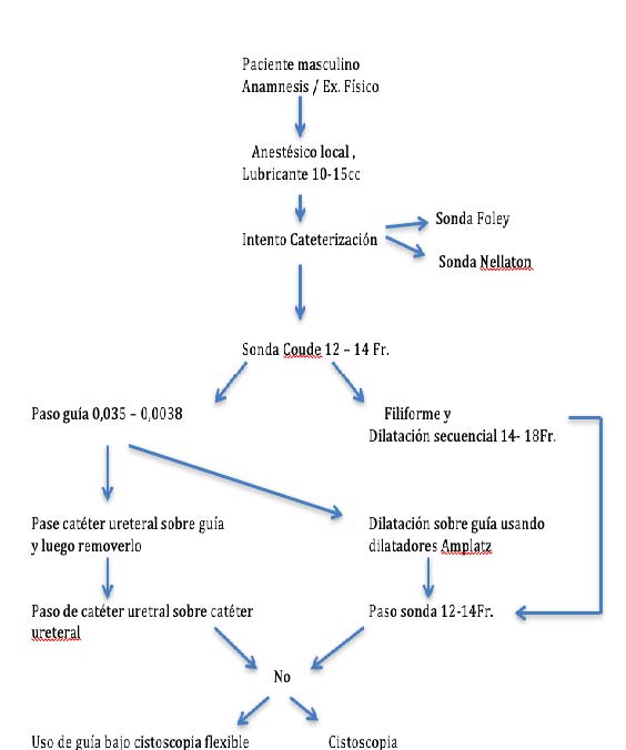 Fig. 7. Algoritmo Cateterización uretral difícil