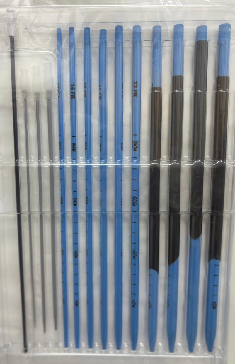 Imagen que contiene cerca, cepillo El contenido generado por IA puede ser incorrecto.