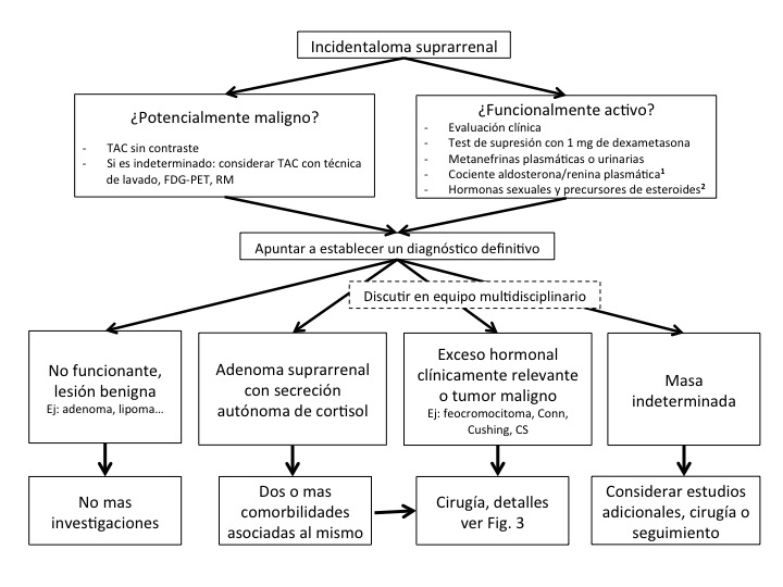 Fig. 2. Diagrama de flujo sobre el estudio y manejo del incidentaloma suprarrenal.