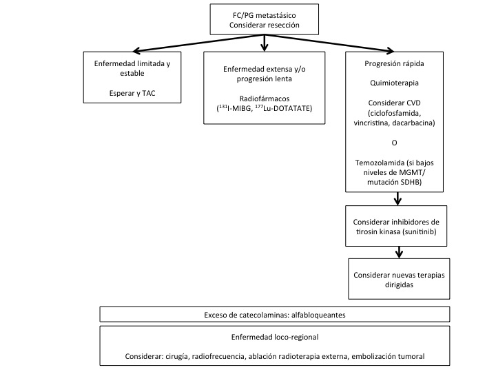 Fig. 7. Algoritmo para el tratamiento actual del feocromocitoma/paraganglioma (FC/PG) metástasico y potenciales terapias futuras.30