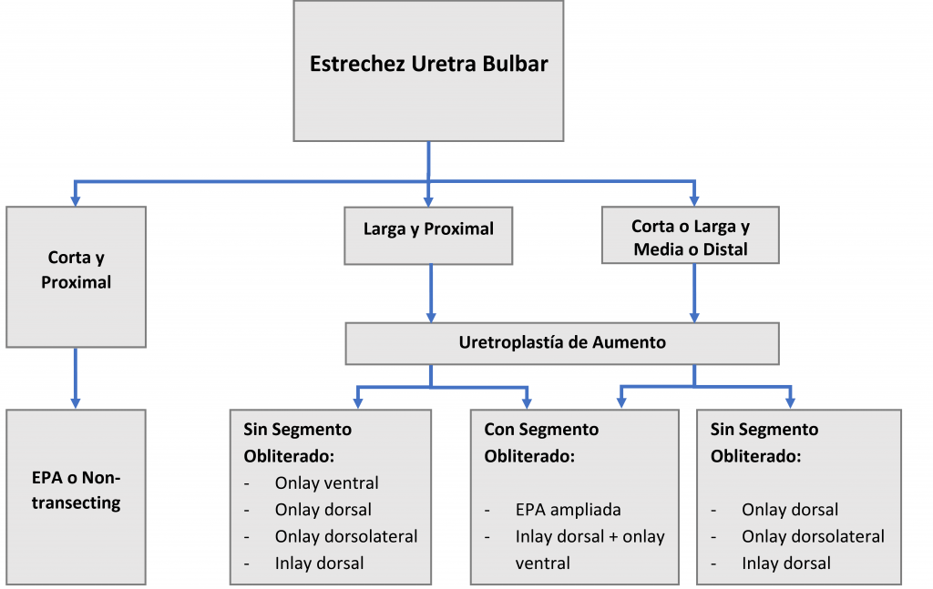 Flujograma 1. Manejo de Estrechez Uretral Anterior. (Basado en Horiguchi et al, 2020)27
