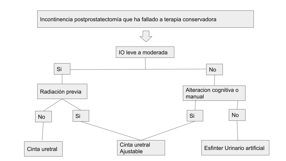 Flujograma 2. Manejo Quirúrgico de IOE Masculina. (Basado en Kretschmer et al, 2016)42