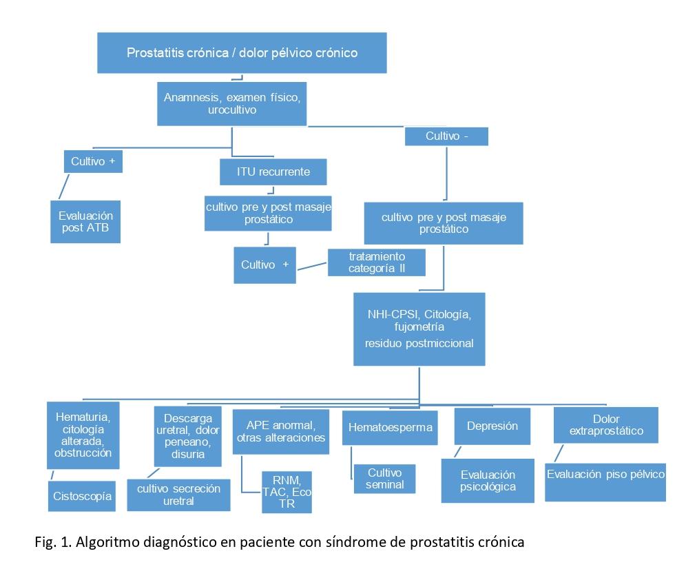 C:\Users\Rodrigo Gonzalez\Downloads\figura algoritmo prostatitis (1)_page-0001.jpg