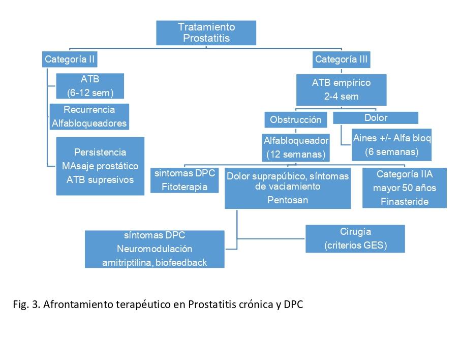 C:\Users\Rodrigo Gonzalez\Downloads\figura tratamiento prostatitis (1)_page-0001.jpg