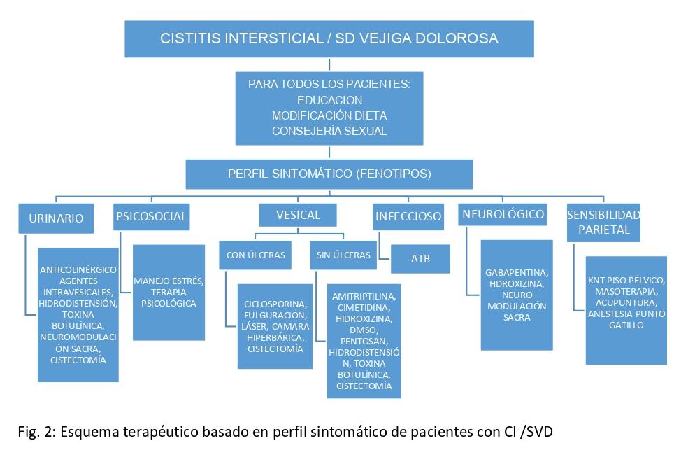 C:\Users\Rodrigo Gonzalez\Downloads\figura tratamiento cistitis (1)_page-0001.jpg
