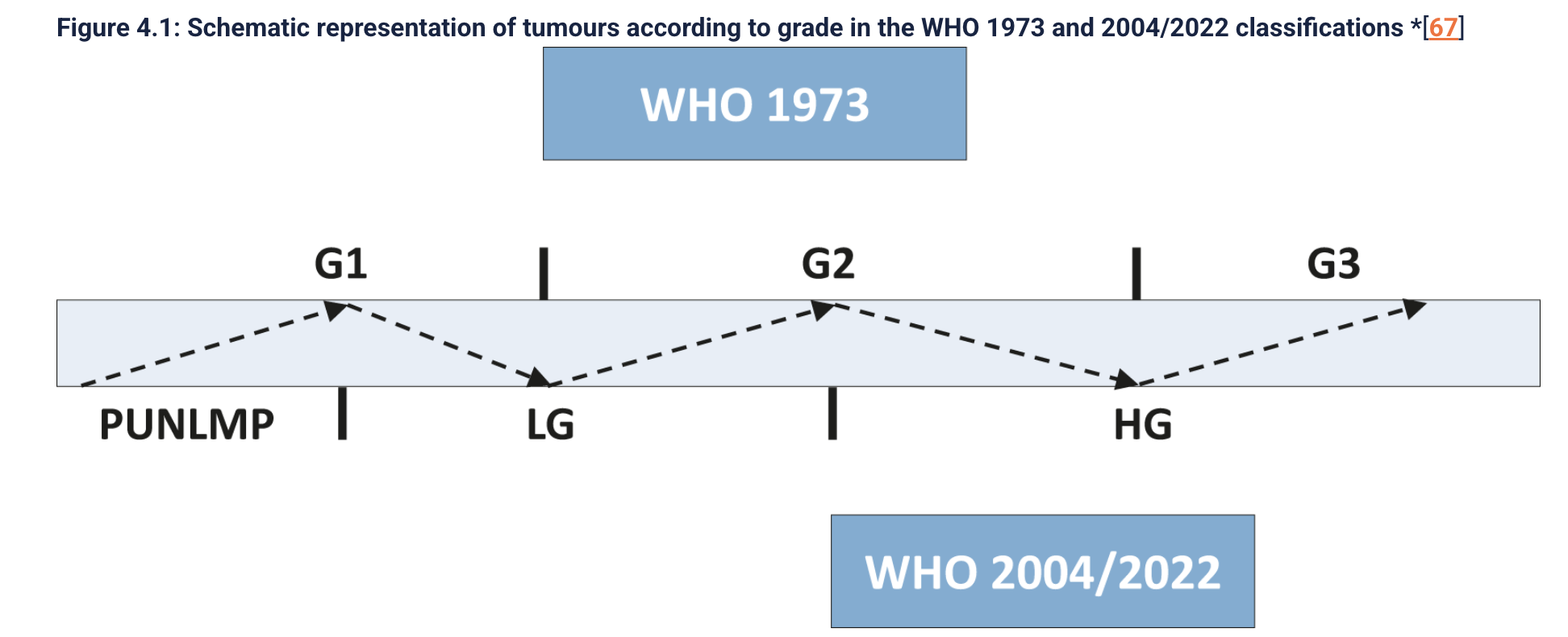 Captura de pantalla 2025-05-26 a la(s) 11.23.34 a. m..png