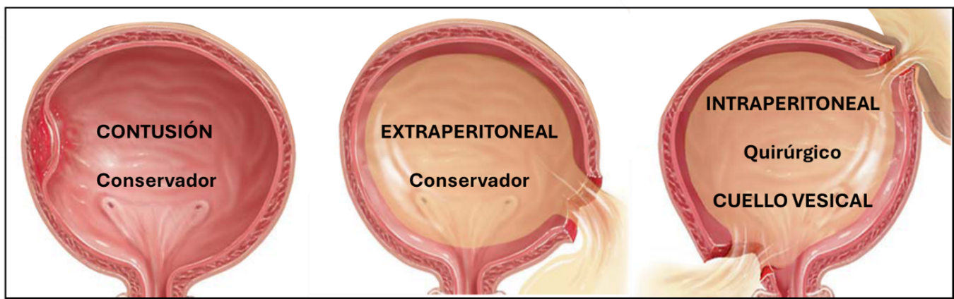 Diagrama El contenido generado por IA puede ser incorrecto.