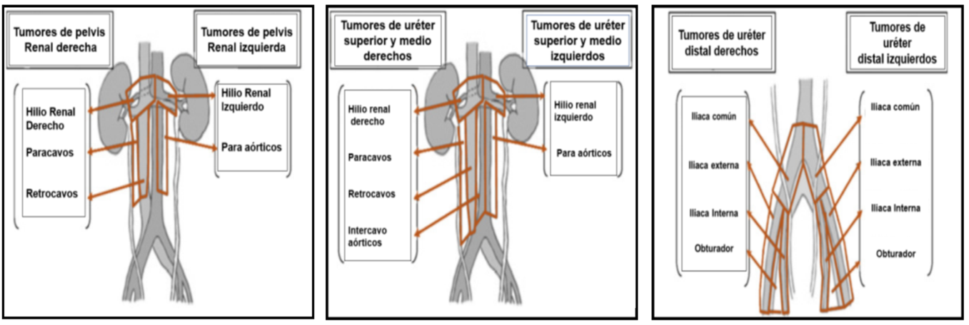Imagen que contiene captura de pantalla Descripción generada automáticamente