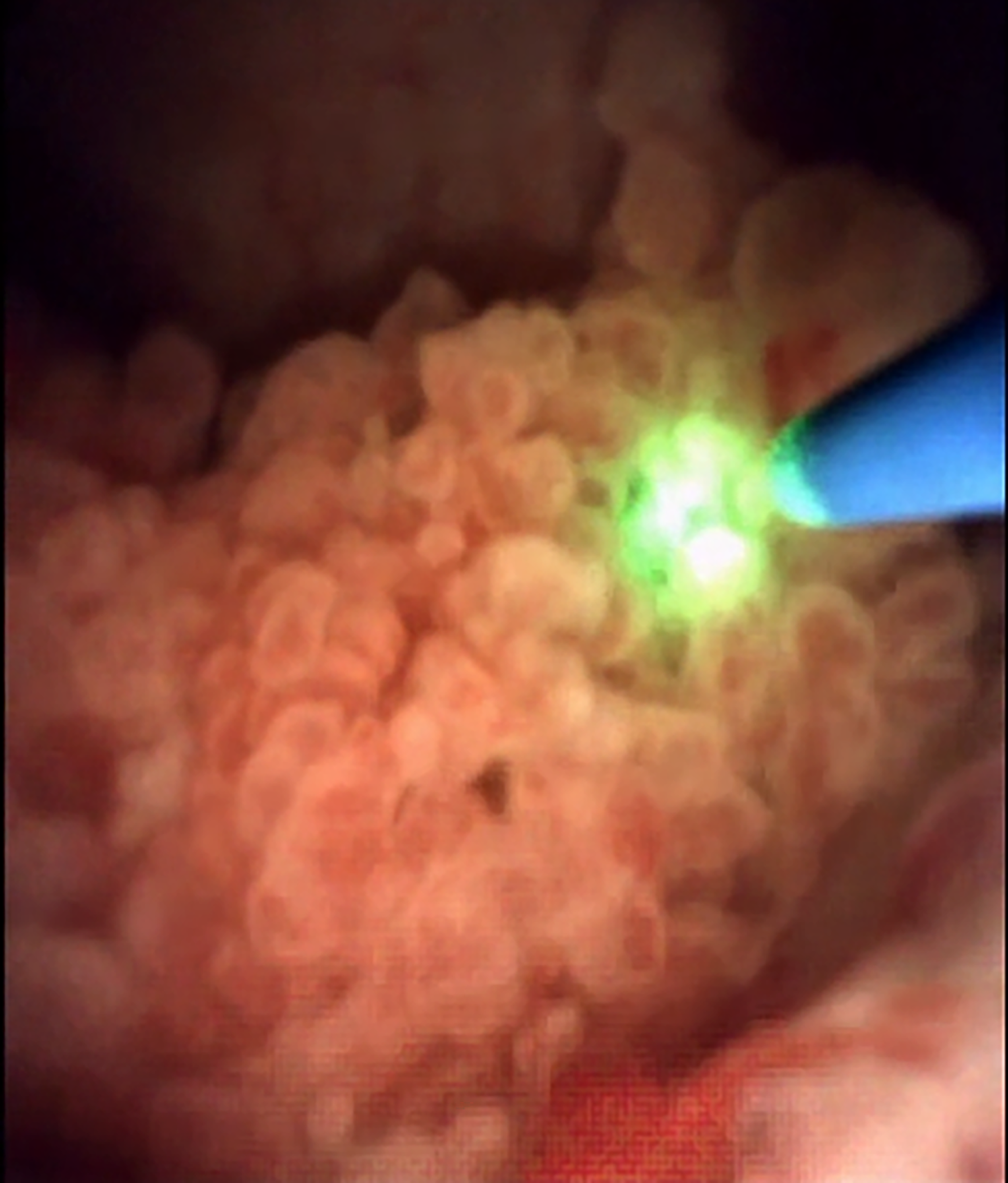 Imagen que contiene interior Descripción generada automáticamente