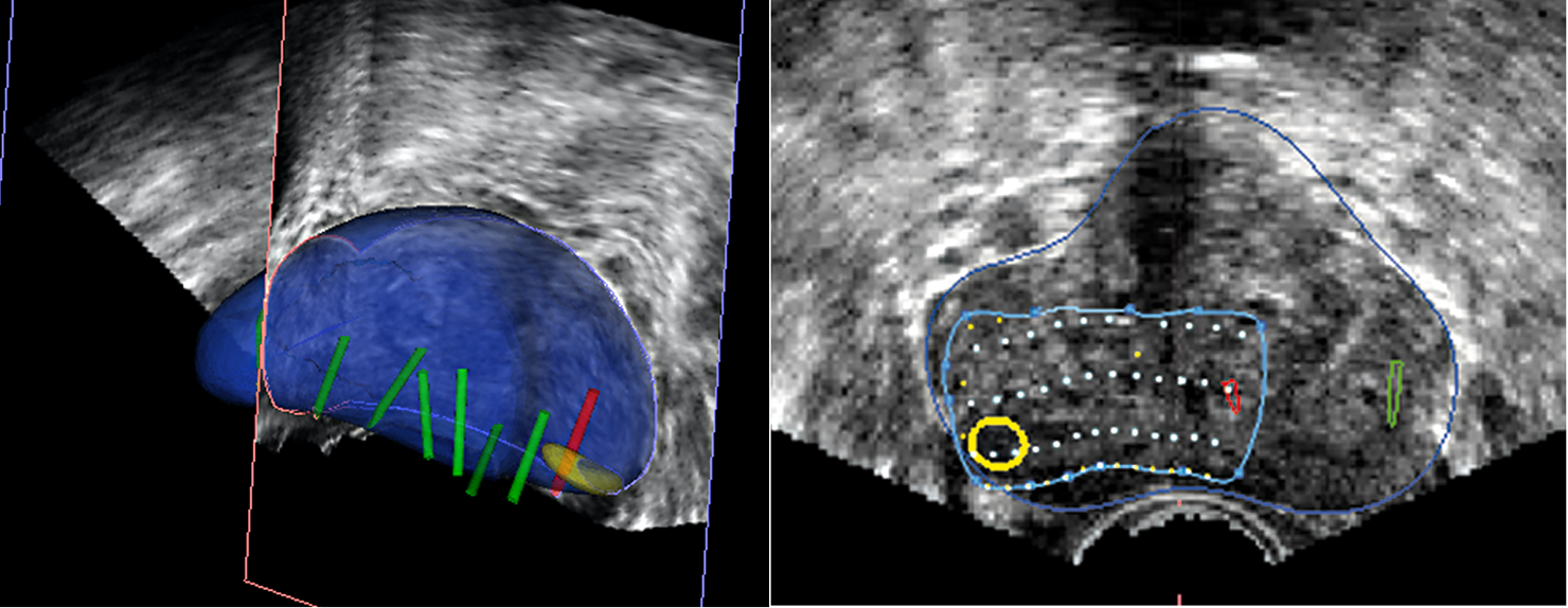 Imagen que contiene interior, foto, negro, gato Descripción generada automáticamente