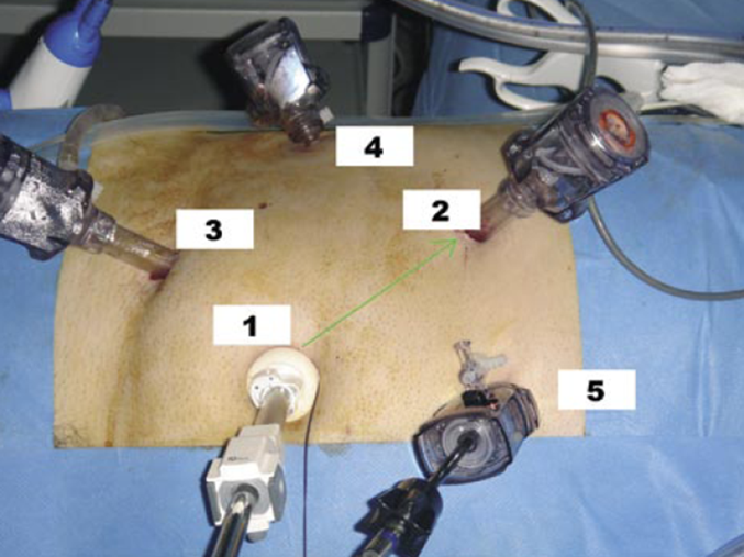 Imagen que contiene interior, pared Descripción generada automáticamente
