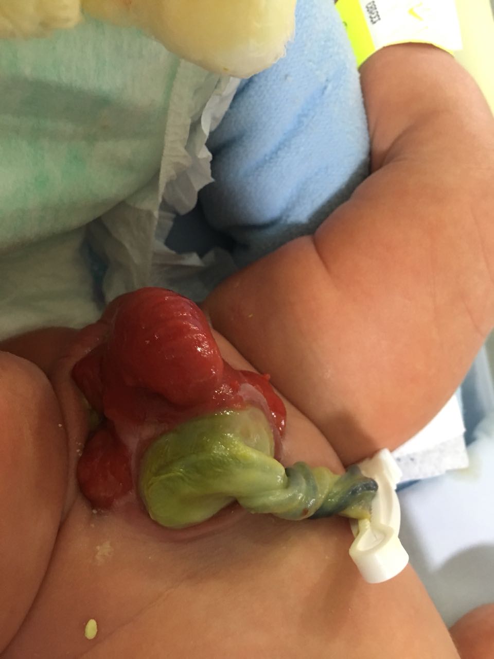 Imagen que contiene persona, interior, comida, tabla Descripción generada automáticamente