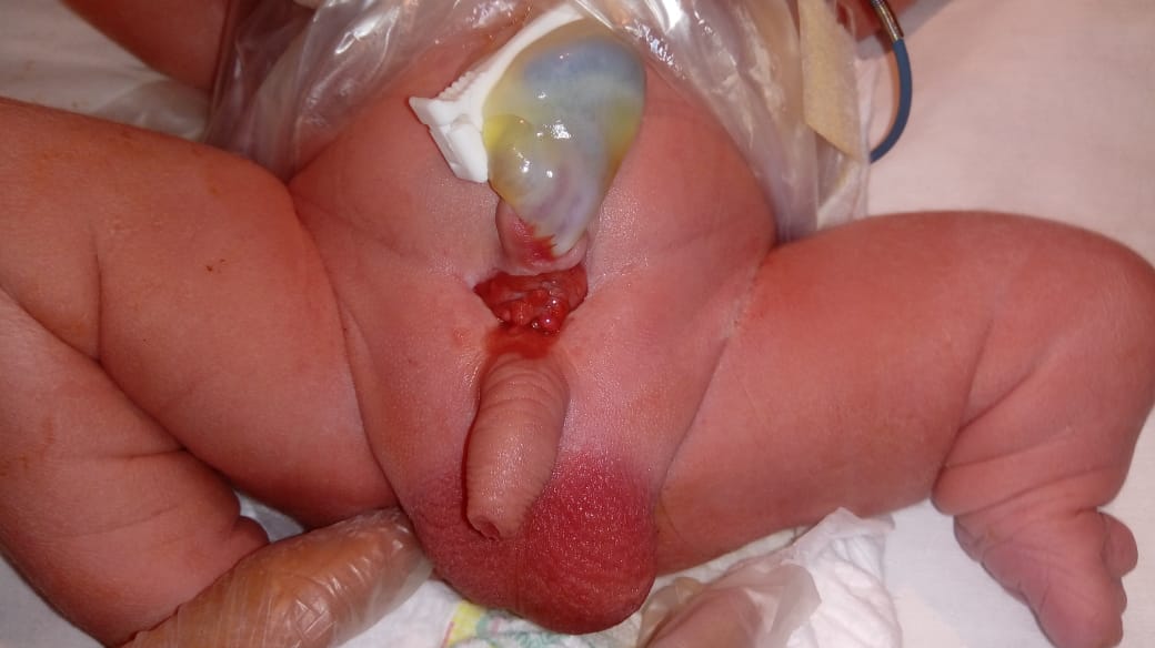 Imagen que contiene persona, interior, tabla, sostener Descripción generada automáticamente