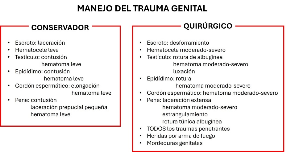 Imagen que contiene Tabla El contenido generado por IA puede ser incorrecto.