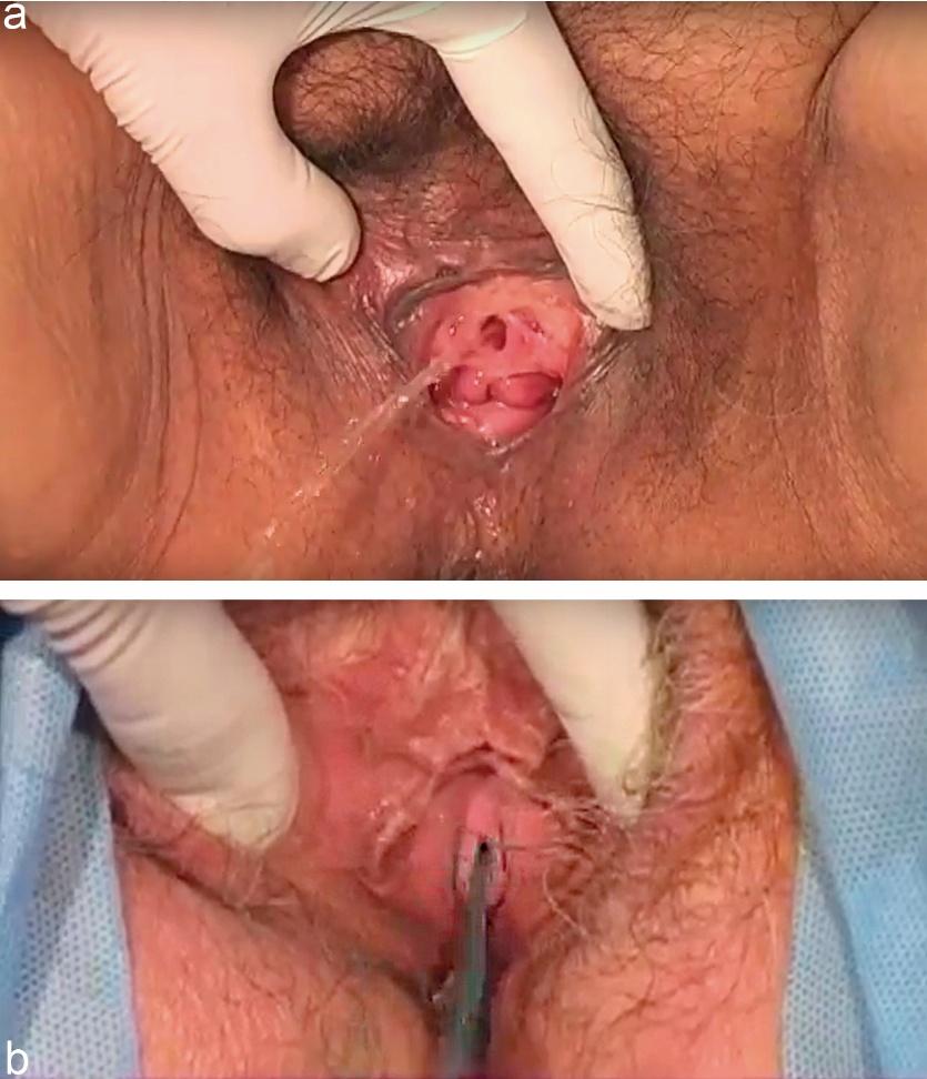 Imagen que contiene Texto El contenido generado por IA puede ser incorrecto.