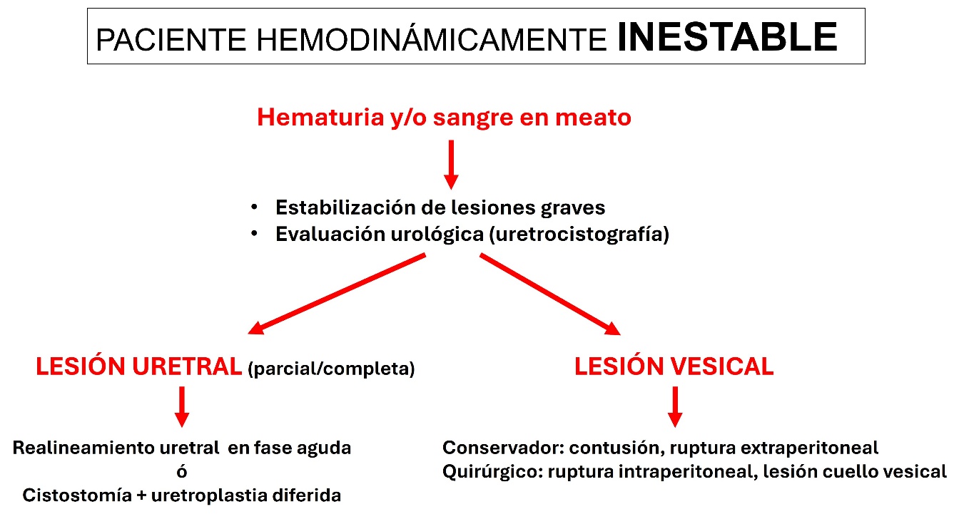 Interfaz de usuario gráfica, Diagrama El contenido generado por IA puede ser incorrecto.