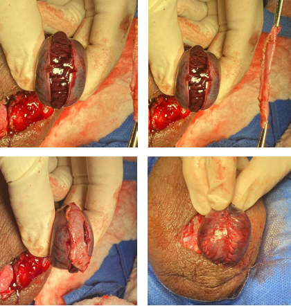 Perro caliente con papas fritas El contenido generado por IA puede ser incorrecto.